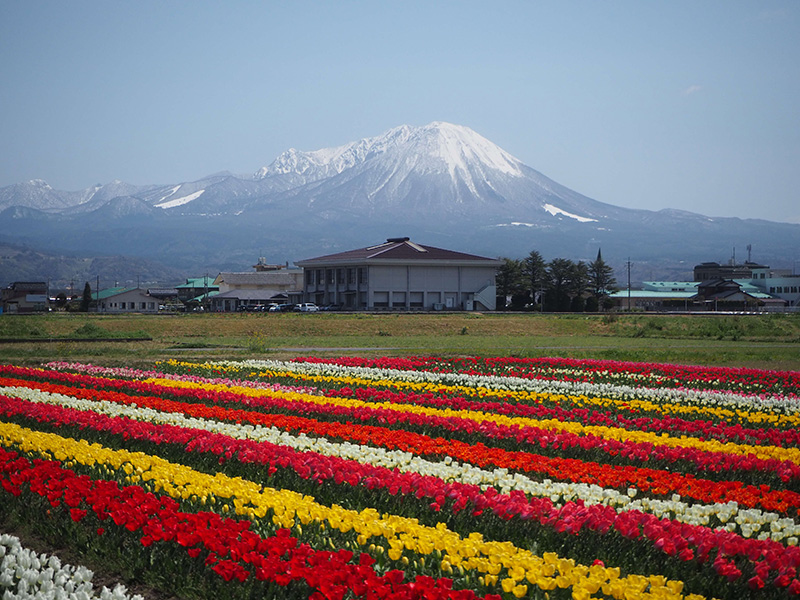 日吉津村（ひえづそん）